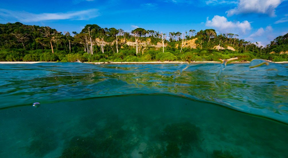 Galathea Bay Wildlife Sanctuary, Nicobar, Andaman and Nicobar Islands - Vushii.com Galathea Bay Wildlife Sanctuary, Nicobar, Andaman and Nicobar Islands - Vushii.com